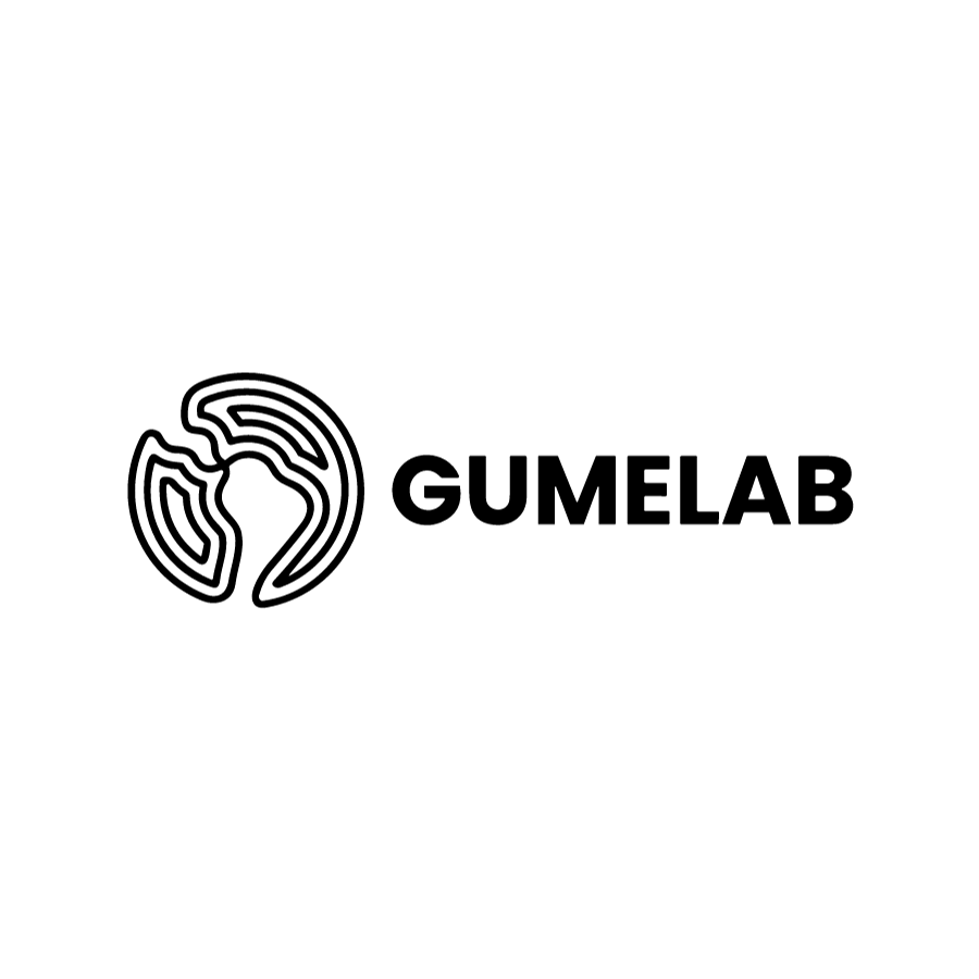 Logo of the international research group GUMELAB