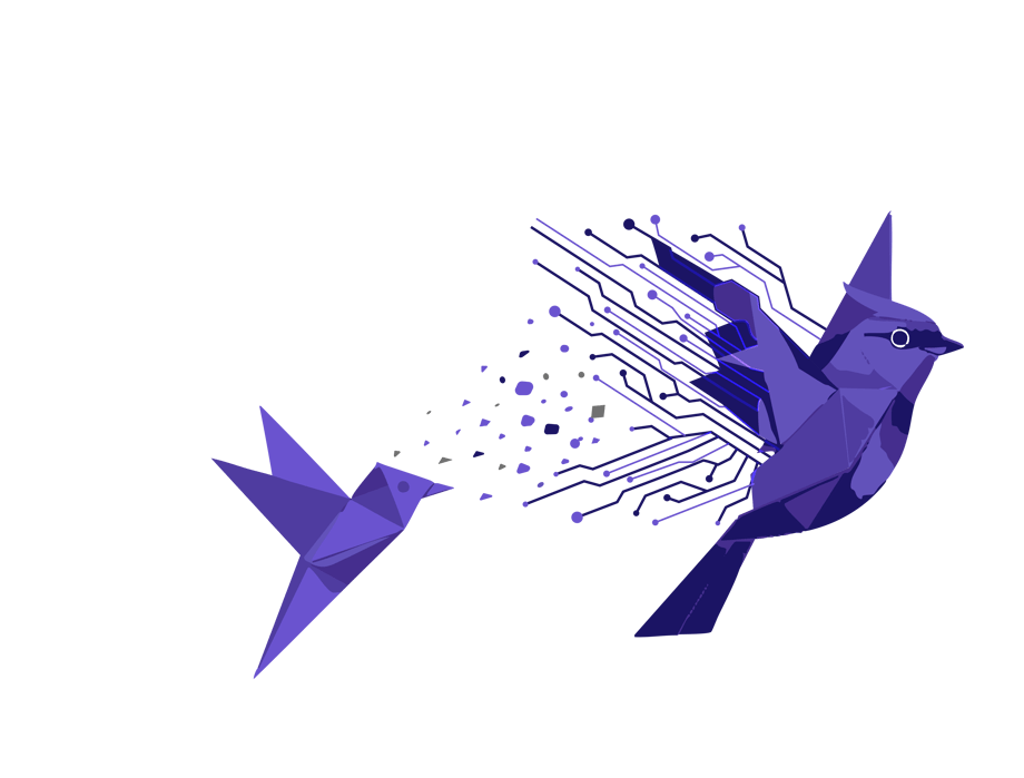 ilustracion_paloma_ok_2